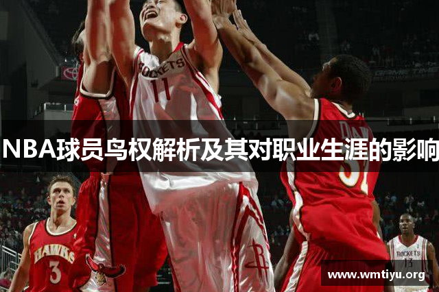 NBA球员鸟权解析及其对职业生涯的影响